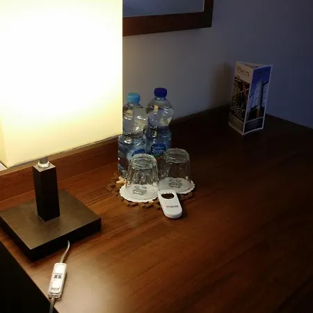 马尔特克斯酒店 酒店 Płońsk